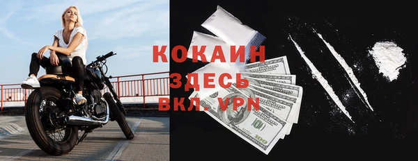 крисы Абаза