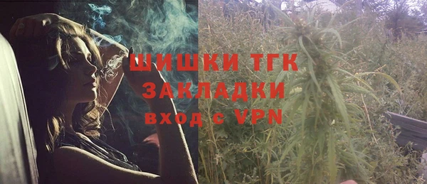 крисы Абаза