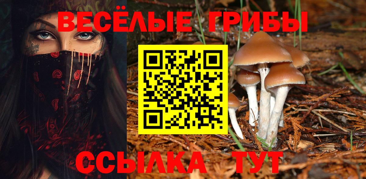 Псилоцибиновые грибы мицелий  Галлюциногенные грибы MAGIC MUSHROOMS  Абинск  Вход с VPN 