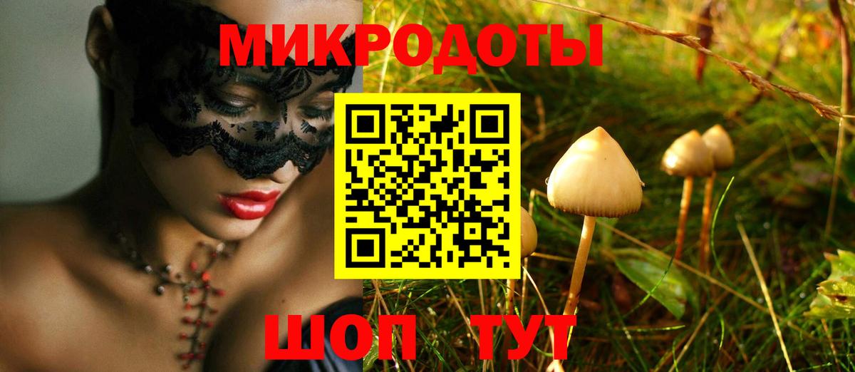Абинск  купить наркоту  Псилоцибиновые грибы GOLDEN TEACHER  Вход с VPN  Галлюциногенные грибы Psilocybe 